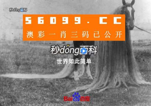 一肖一码一必中一肖,经典解读解析_CT60.986