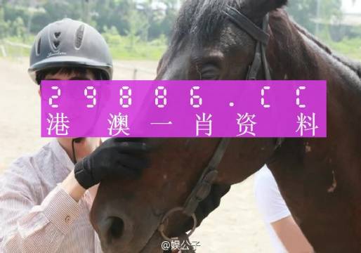 澳门今晚必中一肖一码准确9995,实际案例解释定义_set10.263