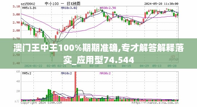 新澳门王中王100%期期中,高度协调策略执行_Q91.635