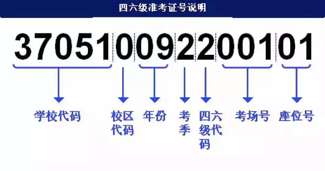 新澳门免费精准大全,最新解答方案_NE版74.521