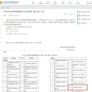 一码一肖一特一中2024,专家评估说明_精简版87.452