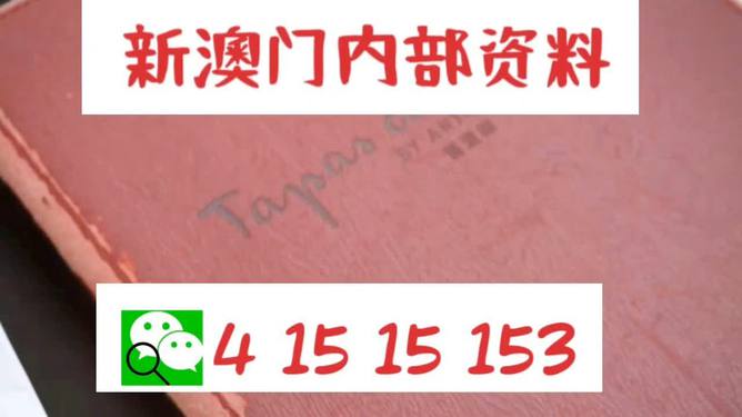 新澳门今晚精准一码：内部文件，内容详尽