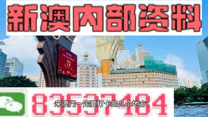 2024年新澳门王中王｜全面解读说明