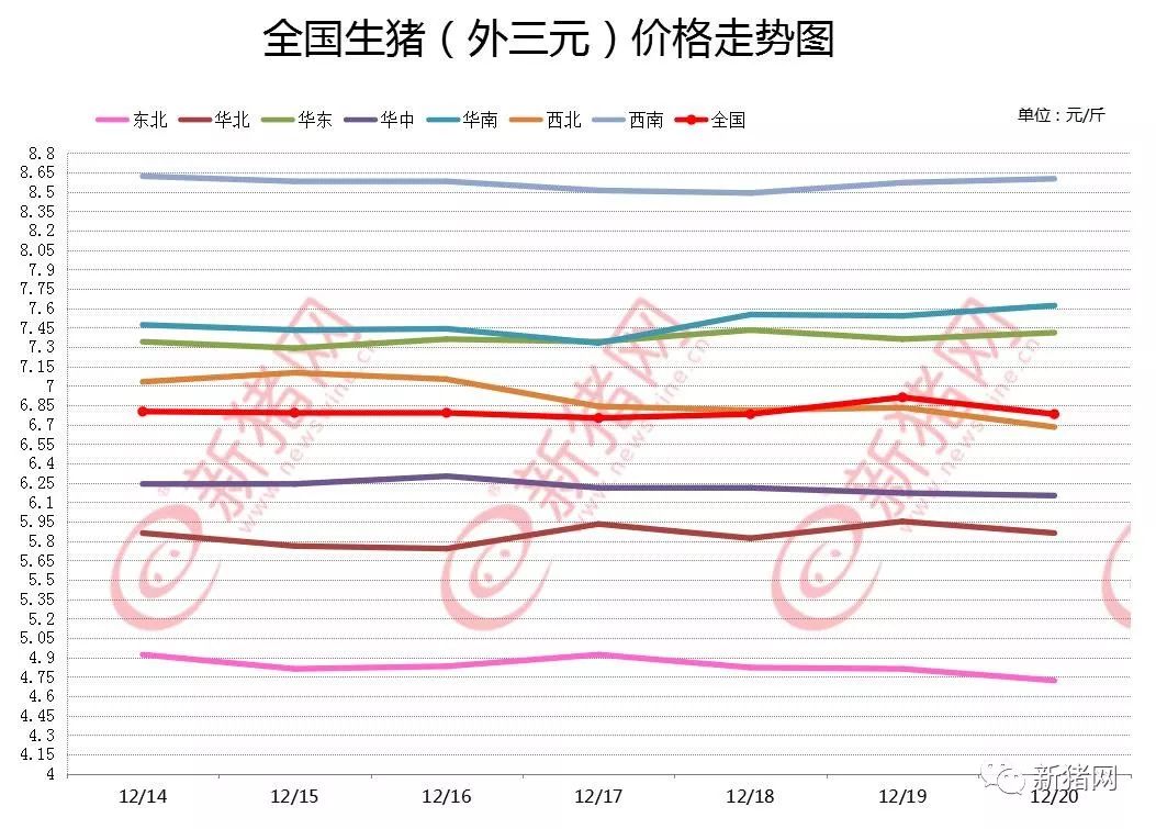 猪市行情最新走势预测分析