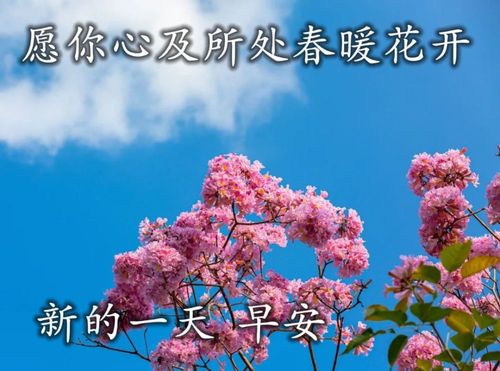 清晨遇见美好，最新早上好图片分享集（共148张）