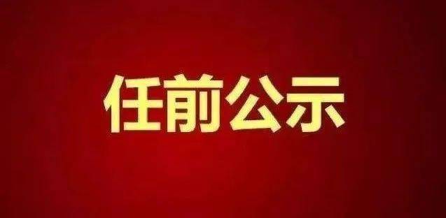 洛阳拟任干部公示展现城市领导力量，推动发展新篇章